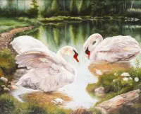 Пазл Лебеди на озере