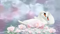 Quebra-cabeça Swan fidelity