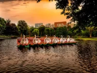Rompecabezas swan boats