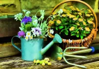 Puzzle Watering can and basket