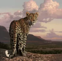 Rompecabezas Leopard