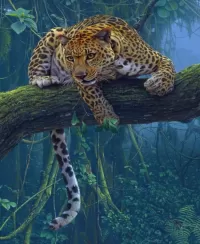 Zagadka Leopard on a tree