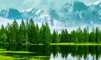 Jigsaw Puzzle Forest and mountains