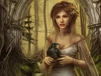 Zagadka Wood Fairy