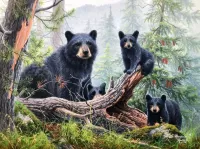 Jigsaw Puzzle forest family