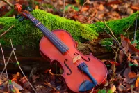 Jigsaw Puzzle Forest violin