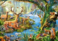 Jigsaw Puzzle Forest life