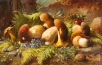 Jigsaw Puzzle Forest mushrooms