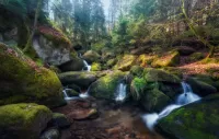 Quebra-cabeça forest waterfalls