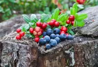 Zagadka Berries