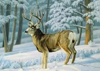 Rompicapo Forest deer