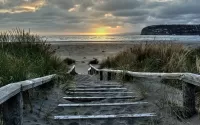 Jigsaw Puzzle Ladder to the sea