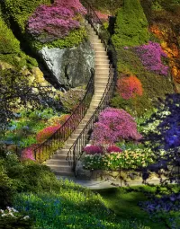 Jigsaw Puzzle Stairway to heaven