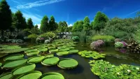 Bulmaca summer pond