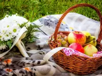 Слагалица Letniy piknik