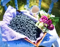 Quebra-cabeça Summer blueberry