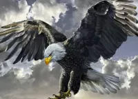 Jigsaw Puzzle flying eagle