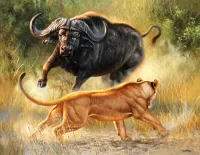 Пазл Лев и буйвол