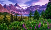 Jigsaw Puzzle Lilac Mountains
