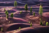 Quebra-cabeça Purple hills
