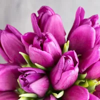 Слагалица Purple tulips