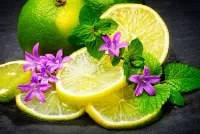 パズル Lemon and mint