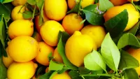 Quebra-cabeça Lemons