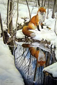 パズル Fox. Reflection