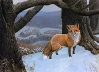 Bulmaca Fox