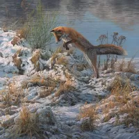 パズル Fox hunting