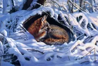 Quebra-cabeça Resting fox