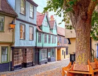 Quebra-cabeça Leaffall