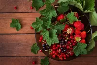 Jigsaw Puzzle Leaves and berries