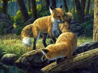 Jigsaw Puzzle Fox cubs