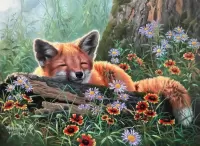 Jigsaw Puzzle fox cub