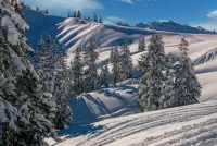 Quebra-cabeça Ski slopes