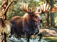Rompecabezas Elk