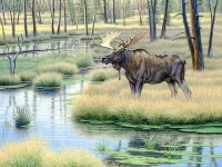 パズル Elk