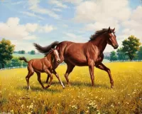 Пазл Лошадь с жеребенком