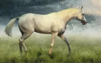 Puzzle Horse in the mist
