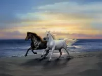 Bulmaca Horses