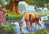 Quebra-cabeça Horses on the river
