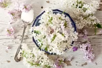 Jigsaw Puzzle Spoon and lilac