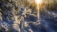 Пазл Луч и снег
