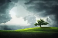 Quebra-cabeça Meadow and cloudy sky