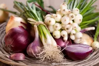 Zagadka Onion and garlic