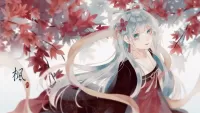 Puzzle Luo Tianyi