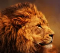 Quebra-cabeça Lion's profile
