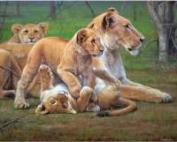 Puzzle Lion family
