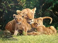 Jigsaw Puzzle Lioness and cubs